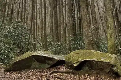 Bear Creek Trail Ellijay Georgia - Trails & Tap