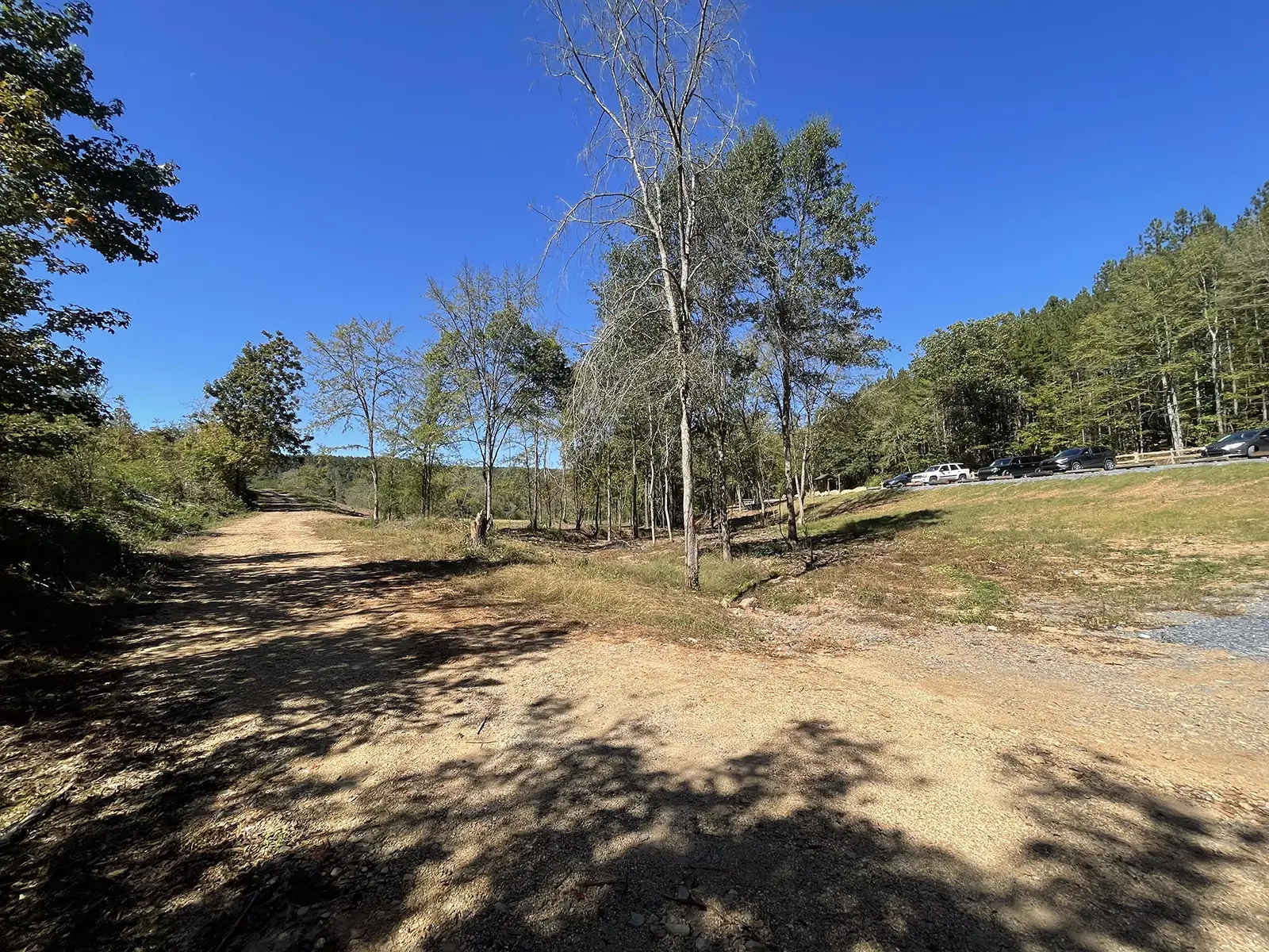 Pinhoti Trail at Pitts Hollow Trailhead - Trails & Tap