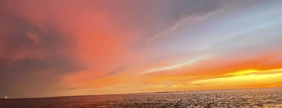 Jekyll Island State Park in Georgia - Trails and Tap