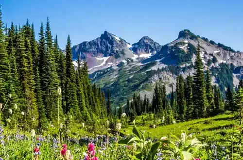 National Park Service Free Park Days 2024