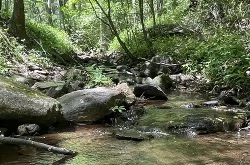 Coopers Furnace Trail in Cartersville GA - Trails and Tap