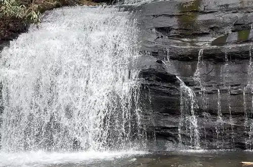 Long Creek Falls Trail near Blue Ridge Georgia - Trails & Tap