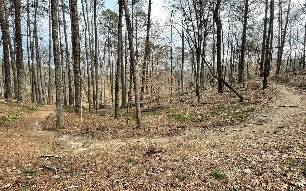 Homestead Trail at Red Top Mountain State Park in Georgia - Trails & Tap