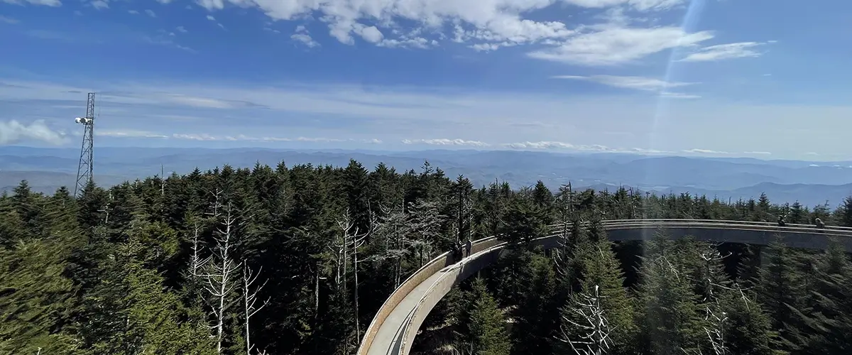 View from Clingmans Dome - Trails & Tap