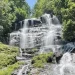 Amicalola Falls State Park - Trails & Tap