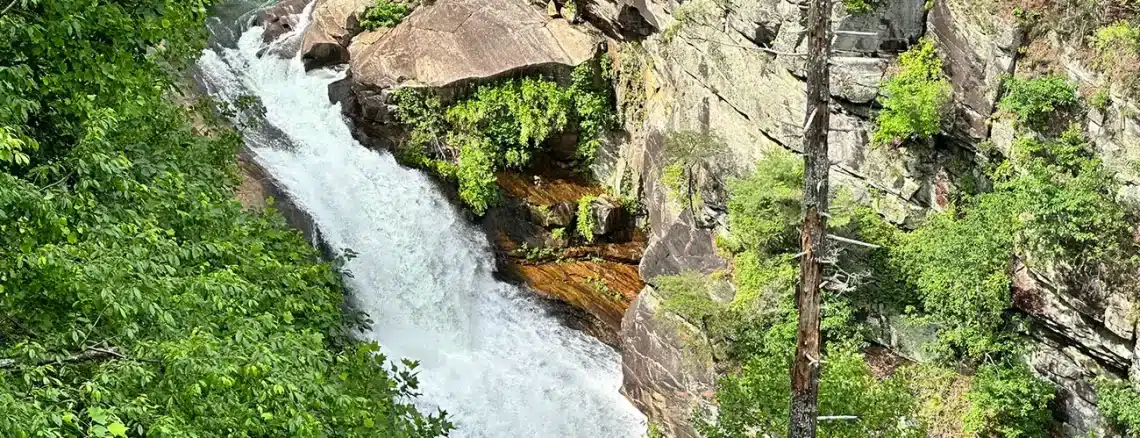 Waterfalls in Georgia - Trails & Tap