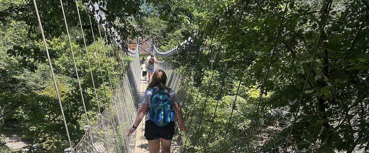 Suspension bridge on a trail at Fall Creek Falls State Park - Trails & Tap