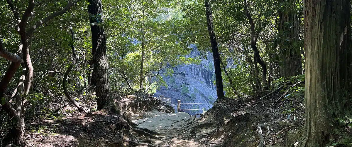 Trail view at Fall Creek Falls State Park - Trails & Tap