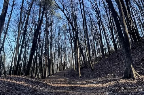 Kennesaw Mountain National Battlefield Park - Trails and Tap