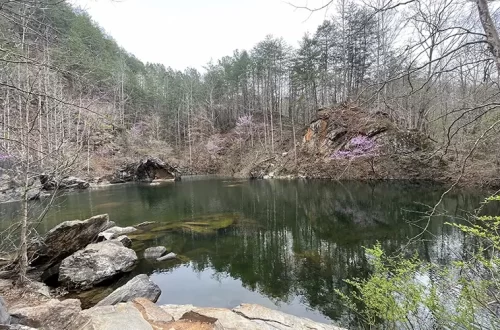 Quarry Pond at Pine Log Creek Trail
