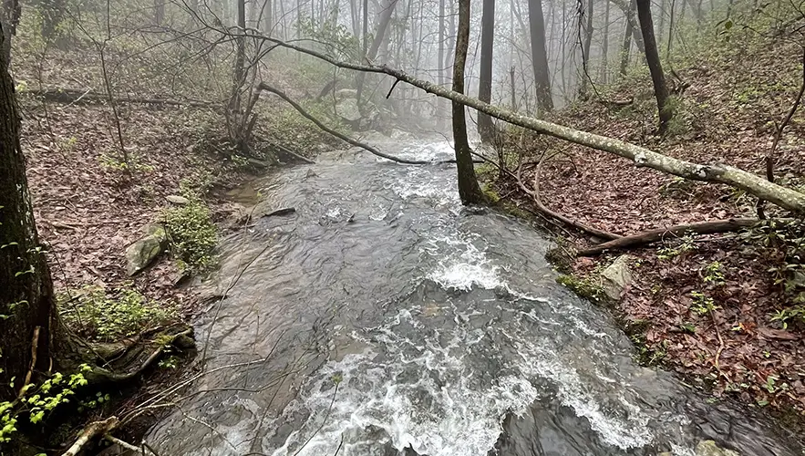 Fort Mountain State Park Georgia