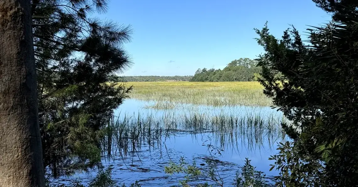 Skidaway Island State Park - Savannah Georgia