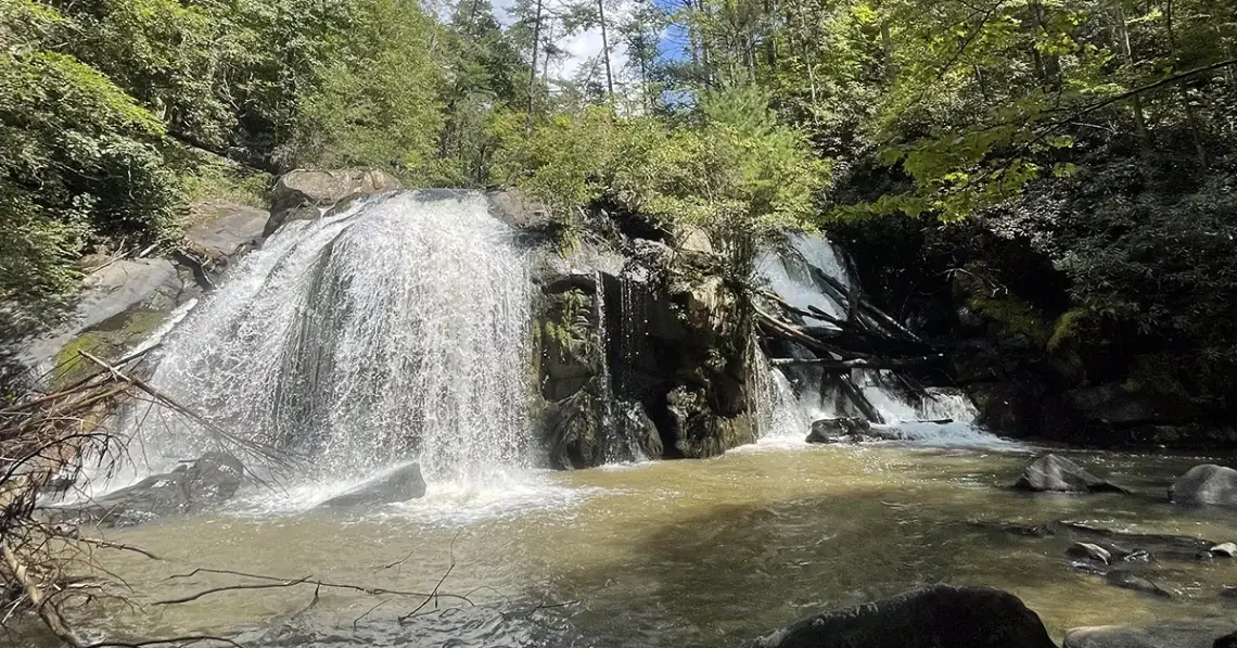 Turtle Town Trail near Farner TN
