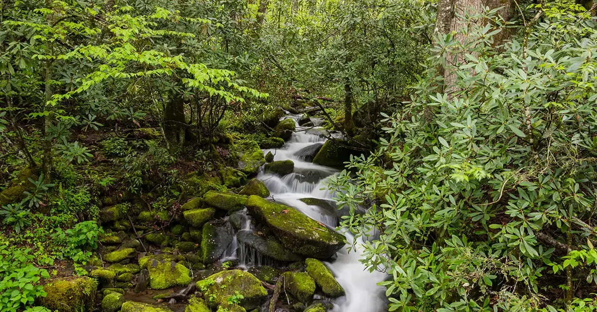 Waterfall cascading over the rocks in the Great Smoky Mountains National Park