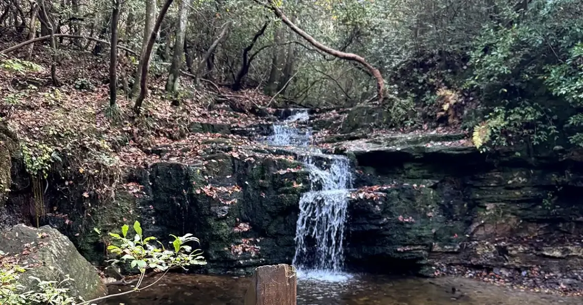 Cascade Falls at F.D. Roosevelt State Park in Georgia