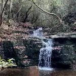 Cascade Falls at F.D. Roosevelt State Park in Georgia