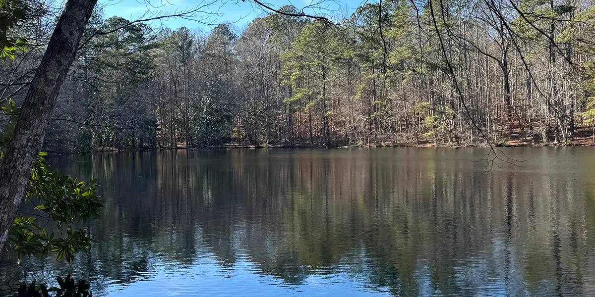 Sibley Pond along the Sope Creek Trail